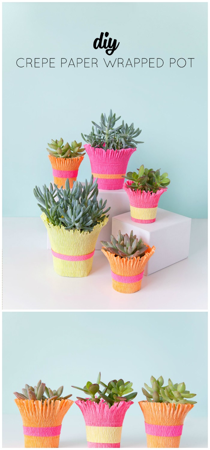 Crepe Paper Wrapped Pot